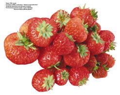 鲜活色彩中的健康密码 新鲜水果的视觉诱惑与营养宝库